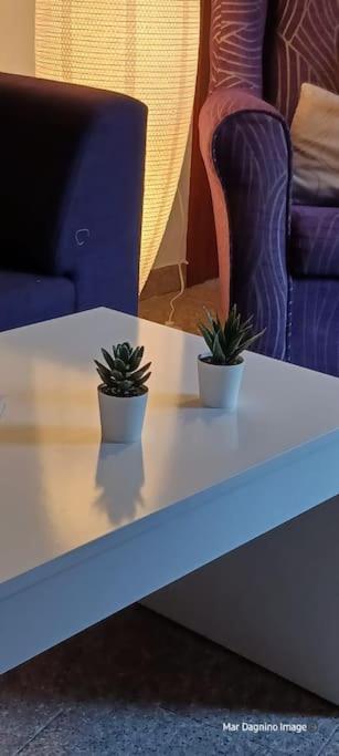 Apartamento Turistico 萨拉戈萨 外观 照片